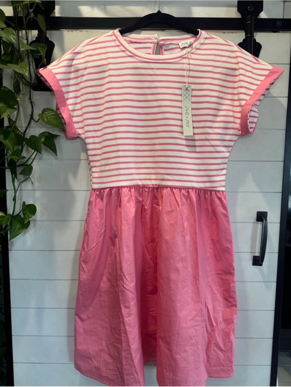 She + Sky Pink Striped Bodice with Solid Pink Skirt Mini Dress